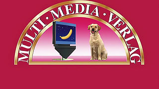 Compilation, From Hard to Soft Couples and Group