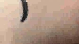 Interracial cuckold compilation with tons of fucking dd