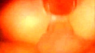 Amateur brunette babe oral and hardcore sex