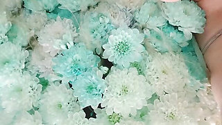 Bouquet of Flowers