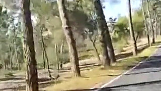 Halloween Female Massage