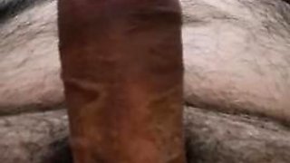 My Cock Is Nice and Hard for You