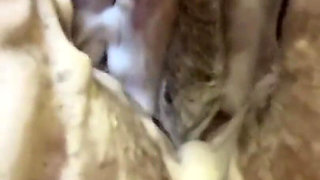 Bbwbootyful having a bath soaping my fat hair pussy