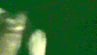 Im Cumming! Thirty Minute Compilation Announcing When Im Cumming On Bbc