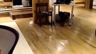 Big boob brunette masturbates on webcam
