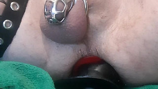 Pig hole tunnel plug and inflation plug