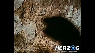 Playing In The Barn - HerzogVideos