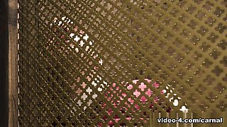 Confessional Marcus - ALTAR BOY MARCUS - Vol. 1 - Carnal Plus