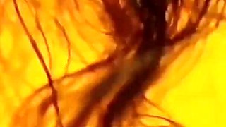 Sex with Brother in Law When Sister Was Not at Home(foreplay Sex)