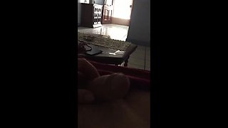 Teen BBG gets fucked hard while searching for clothes in the washing machine
