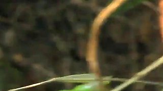 Very Black Man From Uganda Fuck Teen Big Boobs Girl Friend in Their Farmland