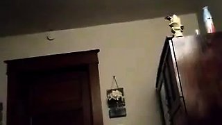 Brunette hardcore blowjob