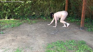 Pig Slut Training - MaryBitch