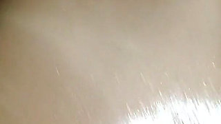 The Best Four-legged Bet