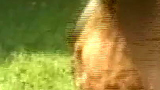 Beautiful Sexy Hot Brunette Gets Her Ass Fucked by Big Hard Cock and Then Gives a Perfect Blowjob