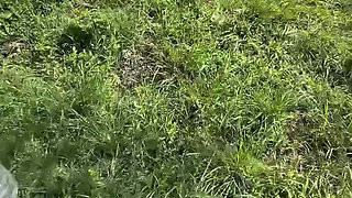 Outdoor Sex on the Road a Lot of Oral Sex