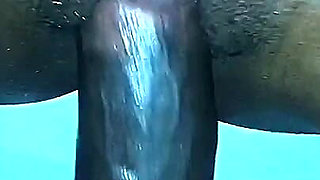 Real African Big Pussy Fucking