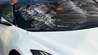 Carwash: Soap, Suds & Seduction