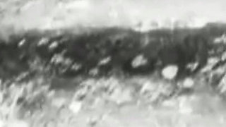 Trailer 382