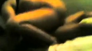 Indian Neighbor Aunty Loves Young Cock