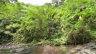 Pinay Picking Wild Ferns and Sex