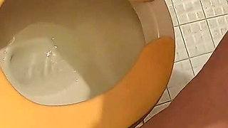 She is pissing standing to the toilet