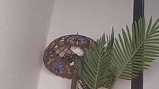 Beautiful Pharaoh Turns Giant