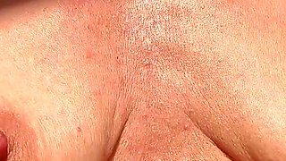 Tits Play in the Sun
