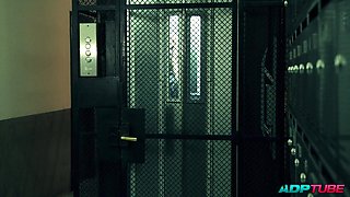 Fucking My Neighbour in the Lift