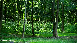 Brunette Solo Webcam Masturbation