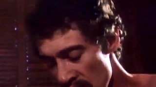 Screws The Stars With Desiree Cousteau, Misty Regan And John Holmes