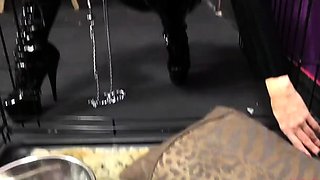 Femdom Puppy Play - Goddess Hellys Slave Is In The house