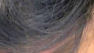 Big ass ebony chicks fucking each other