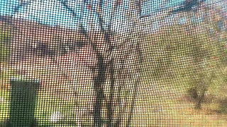 Pissing Pussy by College Girl Hana Chan She Doing House Work Then Go to Piss