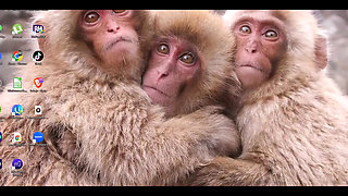 Evangelion Hentai - Misatothreesome Blowjob and Fuck - Anime Manga Japanese Asian Porn