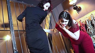 A pair of CFNM femdom busty brunettes sucking cock