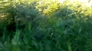 Deutsche MILF im Bikini Outdoor gefickt