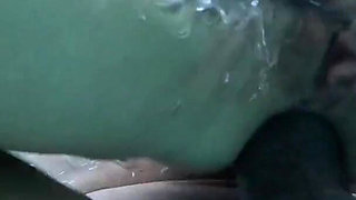 BBC Sharks in the Pool