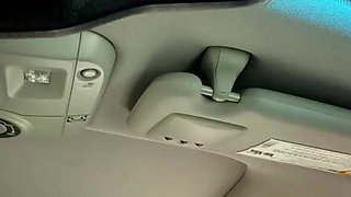 Quick Review of the Rose Vibrator