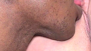 Adult Education of the Cock