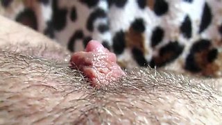 Cutieblonde's Huge Clit Closeup - Pulsating Pussy & Big Labia Play