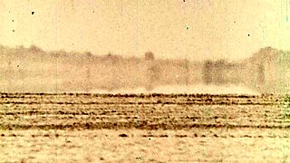 Extreme hardcore amateur pov blowjob