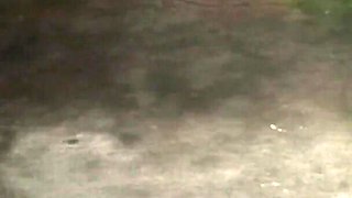 Local Indian Aunty Desi Sex Romantic Home Made Sex Desi Sex Romantic Home Made Food Big Ass Big Local Sex Boyfriend