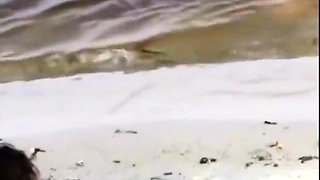 spying on my sister-in-law (sex on the beach)