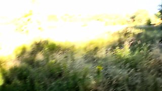 Amateur Blonde Blowjob CIM