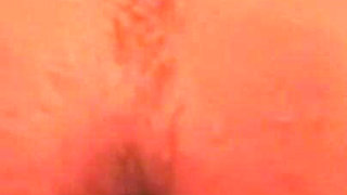 1 Day Before the Wedding Celebration