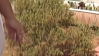 Babewatch 3 German Full Movie