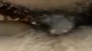 I Fucked My 18 Years Old Sister in Law India Missionary Porn Xhamster