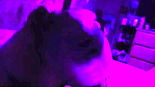 Sluty Wives Suck the Best Cock