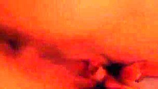 Thick Close Sex with a Shorthair Beauty. 3